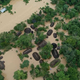 Illustration for article titled This Is What Climate Change Looks Like in an Era of Covid-19